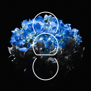 世界常识控制一高中篇
